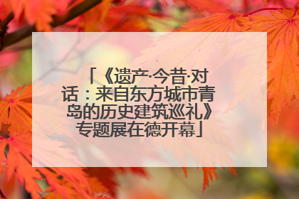 《遗产·今昔·对话：来自东方城市青岛的历史建筑巡礼》专题展在德开幕