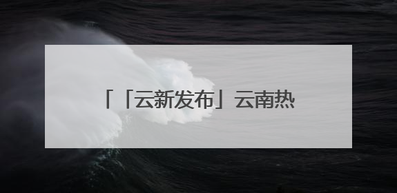 「云新发布」云南热忱欢迎全球华商侨企！“投资菜单”已备好