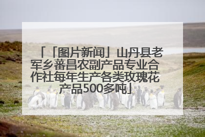 「图片新闻」山丹县老军乡蕃昌农副产品专业合作社每年生产各类玫瑰花产品500多吨