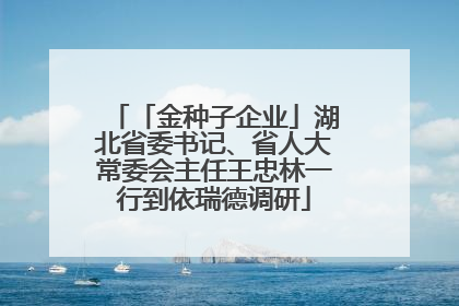 「金种子企业」湖北省委书记、省人大常委会主任王忠林一行到依瑞德调研