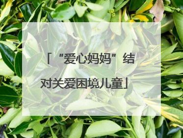 “爱心妈妈”结对关爱困境儿童