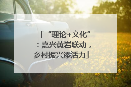 “理论+文化”：嘉兴黄岩联动，乡村振兴添活力