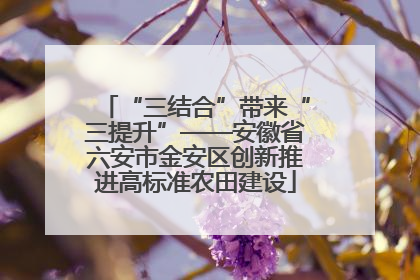 “三结合”带来“三提升”——安徽省六安市金安区创新推进高标准农田建设