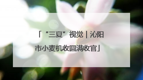 “三夏”视觉｜沁阳市小麦机收圆满收官