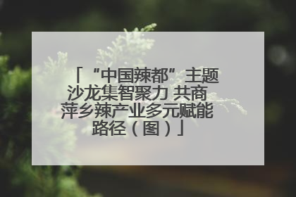 “中国辣都”主题沙龙集智聚力 共商萍乡辣产业多元赋能路径（图）