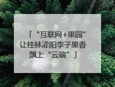 “互联网+果园”让桂林灌阳李子果香飘上“云端”