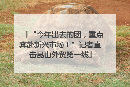“今年出去的团，重点奔赴新兴市场！”记者直击昆山外贸第一线