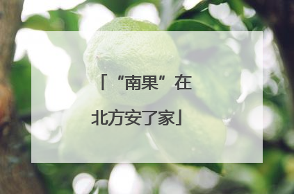 “南果”在北方安了家