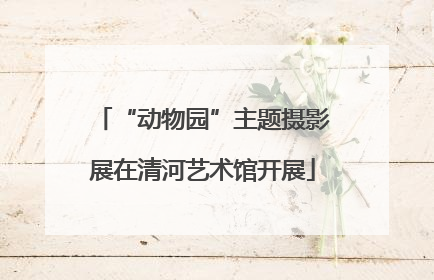 “动物园”主题摄影展在清河艺术馆开展