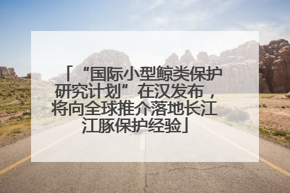 “国际小型鲸类保护研究计划”在汉发布，将向全球推介落地长江江豚保护经验