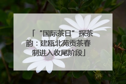 “国际茶日”探茶韵：建瓯北苑贡茶春制进入收尾阶段