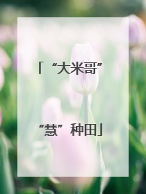 “大米哥”“慧”种田