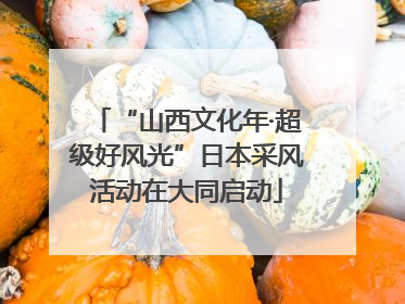 “山西文化年·超级好风光”日本采风活动在大同启动