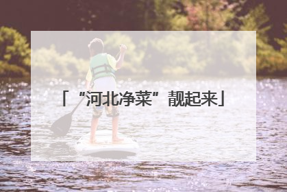 “河北净菜”靓起来