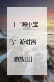 “海中宝马”游进霞浦盐田