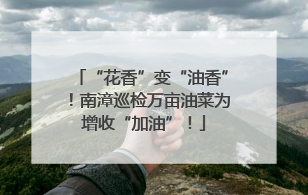 “花香”变“油香”！南漳巡检万亩油菜为增收“加油”！
