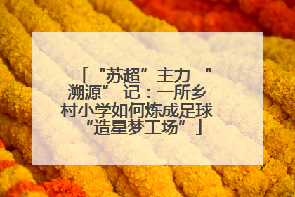 “苏超”主力 “溯源” 记：一所乡村小学如何炼成足球 “造星梦工场”