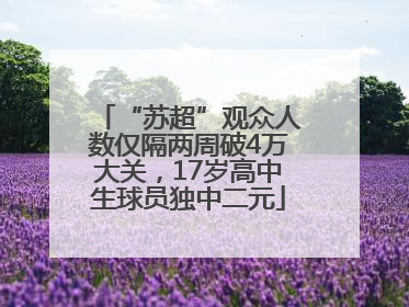 “苏超”观众人数仅隔两周破4万大关，17岁高中生球员独中二元