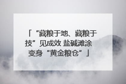 “藏粮于地、藏粮于技”见成效 盐碱滩涂变身“黄金粮仓”