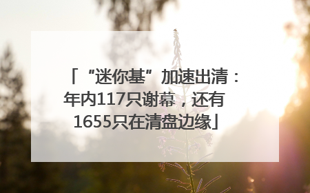 “迷你基”加速出清：年内117只谢幕，还有1655只在清盘边缘