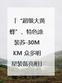 “超级大黄蜂”、特色涂装苏-30MKM 众多明星装备亮相