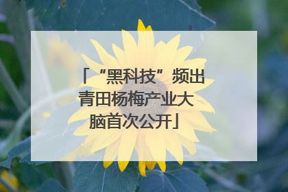 “黑科技”频出 青田杨梅产业大脑首次公开