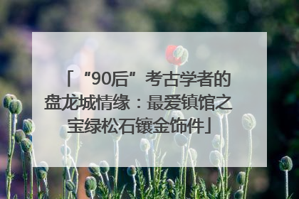 “90后”考古学者的盘龙城情缘：最爱镇馆之宝绿松石镶金饰件