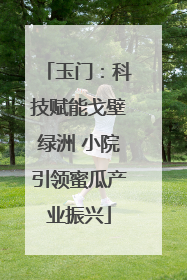 玉门：科技赋能戈壁绿洲 小院引领蜜瓜产业振兴