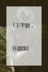 王学勤，升副部