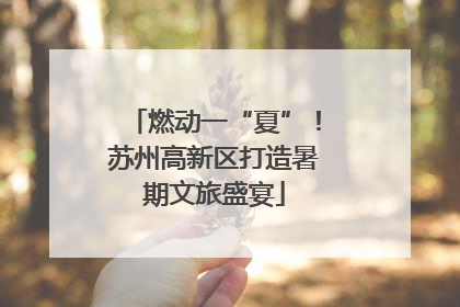 燃动一“夏”！苏州高新区打造暑期文旅盛宴