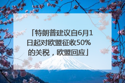 特朗普建议自6月1日起对欧盟征收50%的关税，欧盟回应