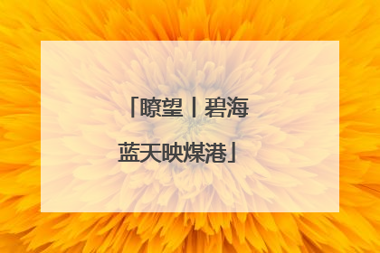 瞭望丨碧海蓝天映煤港