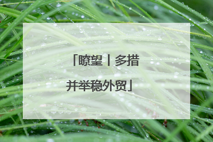 瞭望丨多措并举稳外贸