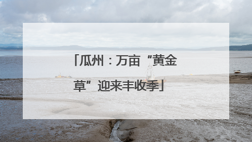 瓜州：万亩“黄金草”迎来丰收季