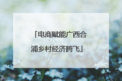 电商赋能广西合浦乡村经济腾飞