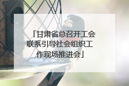 甘肃省总召开工会联系引导社会组织工作现场推进会