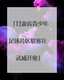 甘肃省青少年足球片区联赛在武威开赛