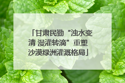 甘肃民勤“浊水变清 漫灌转滴”重塑沙漠绿洲灌溉格局