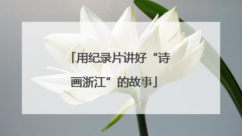 用纪录片讲好“诗画浙江”的故事