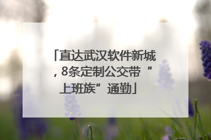 直达武汉软件新城，8条定制公交带“上班族”通勤