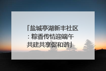 盐城亭湖新丰社区：粽香传情迎端午 共建共享促和谐