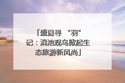 盛夏寻 “羽” 记：滇池观鸟掀起生态旅游新风尚