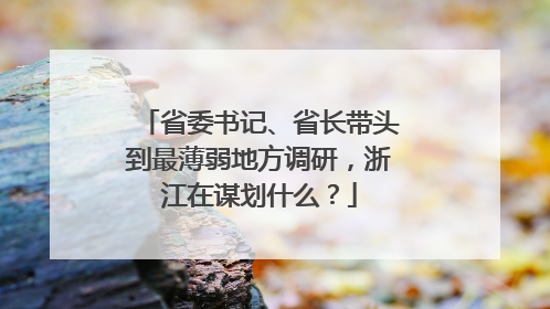 省委书记、省长带头到最薄弱地方调研，浙江在谋划什么？