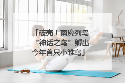 破壳！南麂列岛“神话之鸟”孵出今年首只小雏鸟
