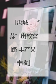 禹城：“蒜”出致富路 丰产又丰收