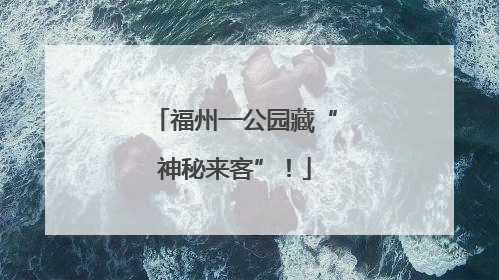 福州一公园藏“神秘来客”！