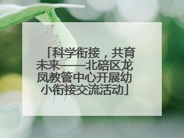 科学衔接，共育未来——北碚区龙凤教管中心开展幼小衔接交流活动