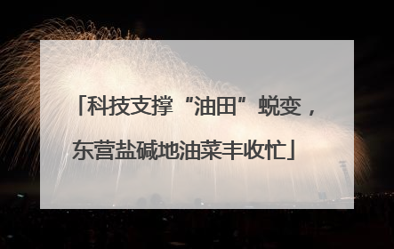 科技支撑“油田”蜕变，东营盐碱地油菜丰收忙