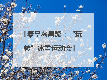 秦皇岛昌黎：“玩转”冰雪运动会
