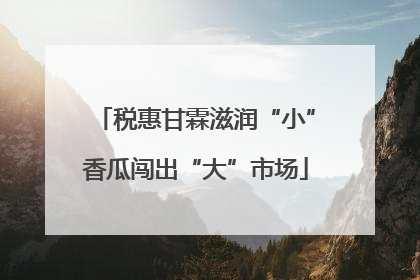 税惠甘霖滋润“小”香瓜闯出“大”市场